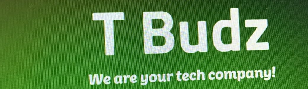 T Budz